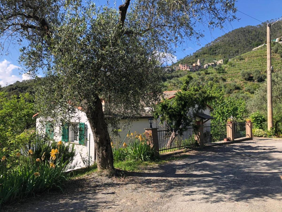 Dolcevia Διαμέρισμα Λεβάντο Εξωτερικό φωτογραφία